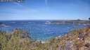 ./images/calvert/foggy-cove/20260425/foggy-cove20260425_120501M.jpg