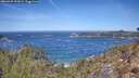 ./images/calvert/foggy-cove/20260425/foggy-cove20260425_121001M.jpg