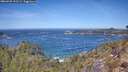 ./images/calvert/foggy-cove/20260425/foggy-cove20260425_121502M.jpg