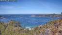 ./images/calvert/foggy-cove/20260425/foggy-cove20260425_122002M.jpg