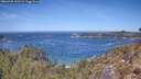 ./images/calvert/foggy-cove/20260425/foggy-cove20260425_122501M.jpg