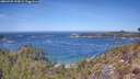 ./images/calvert/foggy-cove/20260425/foggy-cove20260425_123002M.jpg