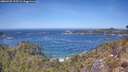 ./images/calvert/foggy-cove/20260425/foggy-cove20260425_123501M.jpg