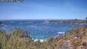 ./images/calvert/foggy-cove/20260425/foggy-cove20260425_124001M.jpg