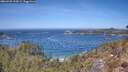 ./images/calvert/foggy-cove/20260425/foggy-cove20260425_124501M.jpg