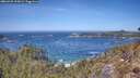 ./images/calvert/foggy-cove/20260425/foggy-cove20260425_125001M.jpg