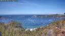 ./images/calvert/foggy-cove/20260425/foggy-cove20260425_125502M.jpg