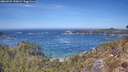 ./images/calvert/foggy-cove/20260425/foggy-cove20260425_130001M.jpg