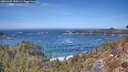 ./images/calvert/foggy-cove/20260425/foggy-cove20260425_130501M.jpg