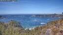./images/calvert/foggy-cove/20260425/foggy-cove20260425_131001M.jpg