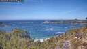./images/calvert/foggy-cove/20260425/foggy-cove20260425_131501M.jpg