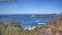 ./images/calvert/foggy-cove/20260425/foggy-cove20260425_132001M.jpg