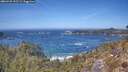 ./images/calvert/foggy-cove/20260425/foggy-cove20260425_132501M.jpg