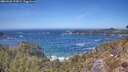 ./images/calvert/foggy-cove/20260425/foggy-cove20260425_133001M.jpg