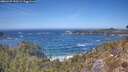 ./images/calvert/foggy-cove/20260425/foggy-cove20260425_133501M.jpg