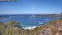 ./images/calvert/foggy-cove/20260425/foggy-cove20260425_134001M.jpg