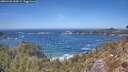 ./images/calvert/foggy-cove/20260425/foggy-cove20260425_134501M.jpg