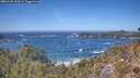 ./images/calvert/foggy-cove/20260425/foggy-cove20260425_135001M.jpg
