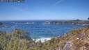 ./images/calvert/foggy-cove/20260425/foggy-cove20260425_140501M.jpg