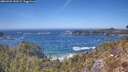./images/calvert/foggy-cove/20260425/foggy-cove20260425_141001M.jpg
