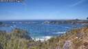 ./images/calvert/foggy-cove/20260425/foggy-cove20260425_142001M.jpg