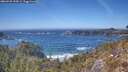 ./images/calvert/foggy-cove/20260425/foggy-cove20260425_144501M.jpg