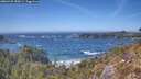 ./images/calvert/foggy-cove/20260425/foggy-cove20260425_150001M.jpg