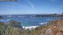 ./images/calvert/foggy-cove/20260425/foggy-cove20260425_153001M.jpg