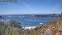 ./images/calvert/foggy-cove/20260425/foggy-cove20260425_153501M.jpg