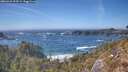 ./images/calvert/foggy-cove/20260425/foggy-cove20260425_154501M.jpg