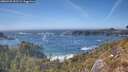 ./images/calvert/foggy-cove/20260425/foggy-cove20260425_155502M.jpg