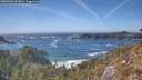 ./images/calvert/foggy-cove/20260425/foggy-cove20260425_161001M.jpg