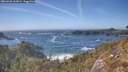 ./images/calvert/foggy-cove/20260425/foggy-cove20260425_162001M.jpg