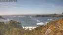 ./images/calvert/foggy-cove/20260425/foggy-cove20260425_165002M.jpg
