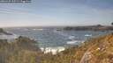 ./images/calvert/foggy-cove/20260425/foggy-cove20260425_165502M.jpg