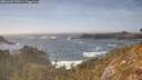 ./images/calvert/foggy-cove/20260425/foggy-cove20260425_170501M.jpg