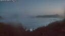 ./images/calvert/foggy-cove/20260426/foggy-cove20260426_054001M.jpg