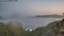 ./images/calvert/foggy-cove/20260426/foggy-cove20260426_055501M.jpg