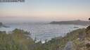 ./images/calvert/foggy-cove/20260426/foggy-cove20260426_062501M.jpg