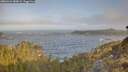 ./images/calvert/foggy-cove/20260426/foggy-cove20260426_080001M.jpg