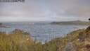 ./images/calvert/foggy-cove/20260426/foggy-cove20260426_080501M.jpg