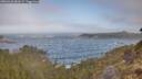 ./images/calvert/foggy-cove/20260426/foggy-cove20260426_081002M.jpg