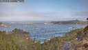 ./images/calvert/foggy-cove/20260426/foggy-cove20260426_081501M.jpg