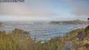 ./images/calvert/foggy-cove/20260426/foggy-cove20260426_082001M.jpg
