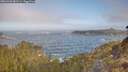./images/calvert/foggy-cove/20260426/foggy-cove20260426_082501M.jpg