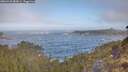 ./images/calvert/foggy-cove/20260426/foggy-cove20260426_083001M.jpg