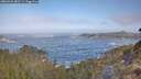 ./images/calvert/foggy-cove/20260426/foggy-cove20260426_083501M.jpg