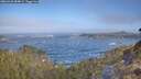 ./images/calvert/foggy-cove/20260426/foggy-cove20260426_084002M.jpg