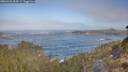 ./images/calvert/foggy-cove/20260426/foggy-cove20260426_084501M.jpg