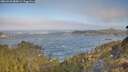 ./images/calvert/foggy-cove/20260426/foggy-cove20260426_085001M.jpg
